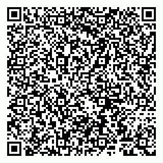 vCard 79807268288