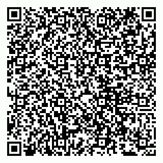 vCard 79807268381