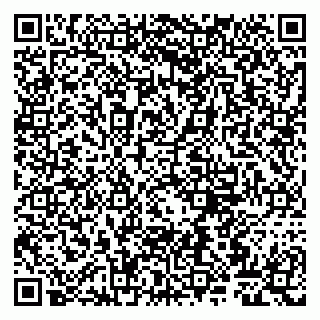 vCard 79807269387