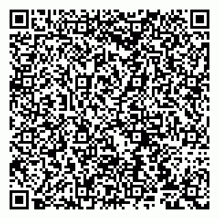vCard 79807270017