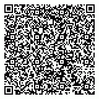 vCard 79807270029