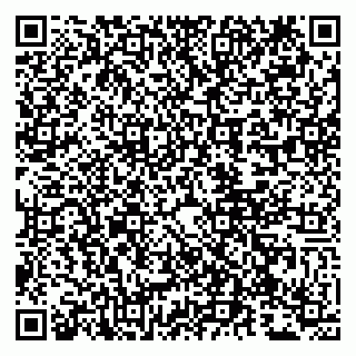 vCard 79807270032