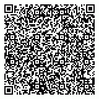vCard 79807270039