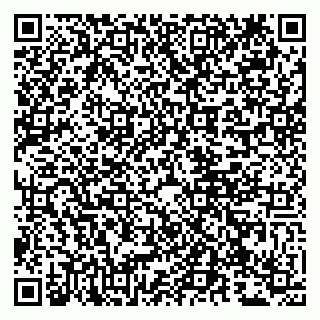 vCard 79807270090