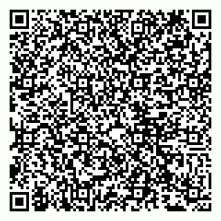 vCard 79807270208