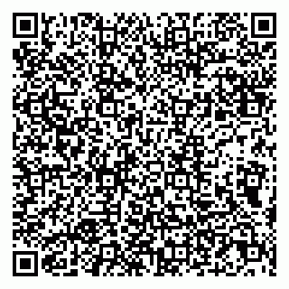 vCard 79807270271