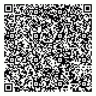 vCard 79807270300