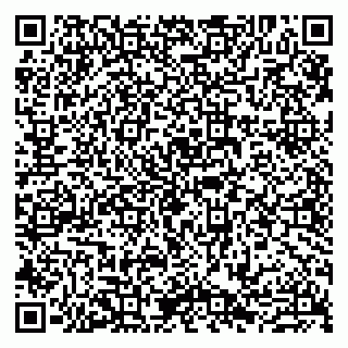 vCard 79807270304