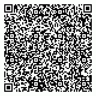 vCard 79807270317