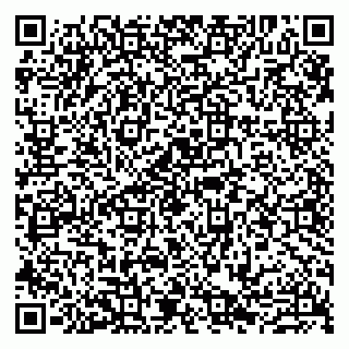 vCard 79807270379