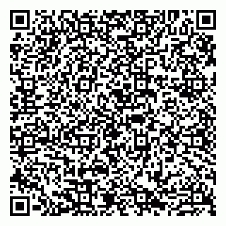 vCard 79807270387