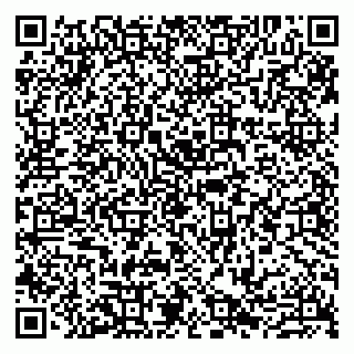 vCard 79807270875