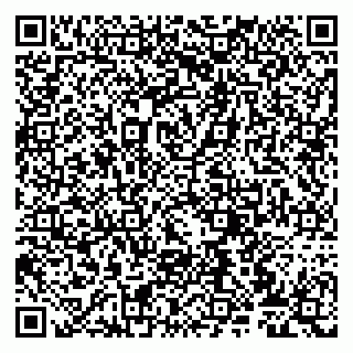 vCard 79807270900