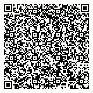 vCard 79807270903