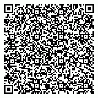 vCard 79807270904