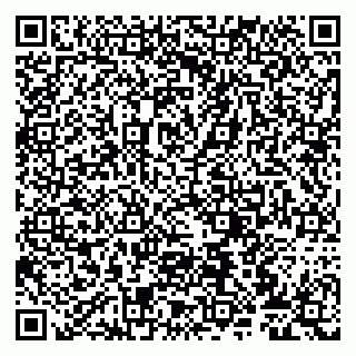 vCard 79807270915