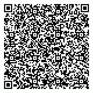 vCard 79807271001