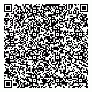 vCard 79807271003