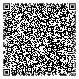 vCard 79807271101