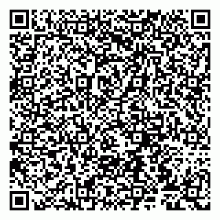 vCard 79807271133