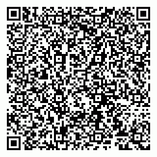 vCard 79807272001