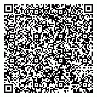 vCard 79807272002