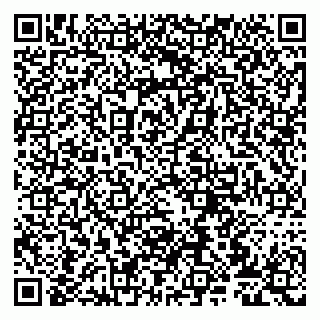 vCard 79807272003