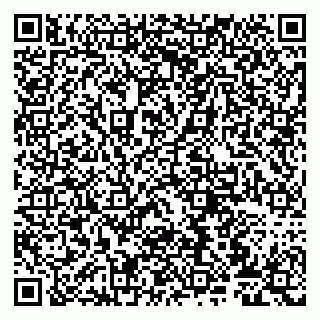 vCard 79807272027