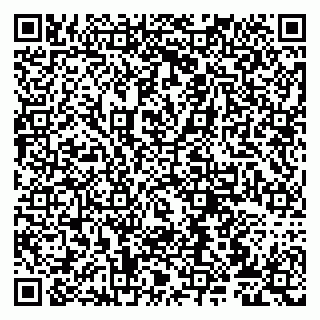 vCard 79807272032