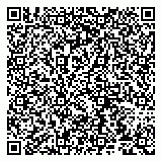 vCard 79807272037