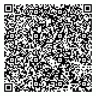 vCard 79807272038