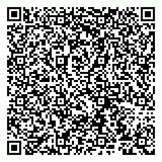 vCard 79807272078
