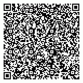 vCard 79807272085