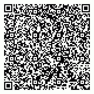 vCard 79807272088