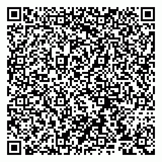 vCard 79807272091