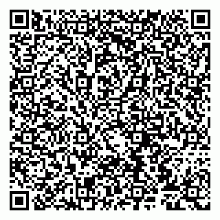 vCard 79807272093