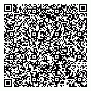vCard 79807272095