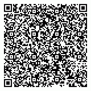 vCard 79807272127