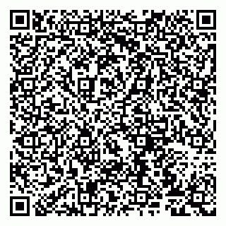 vCard 79807272163