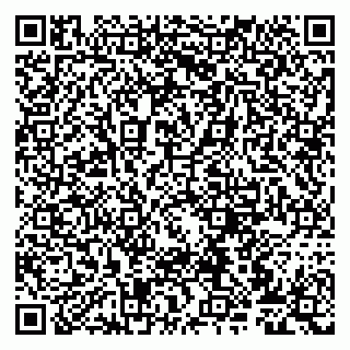 vCard 79807272187