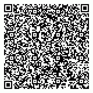 vCard 79807272207