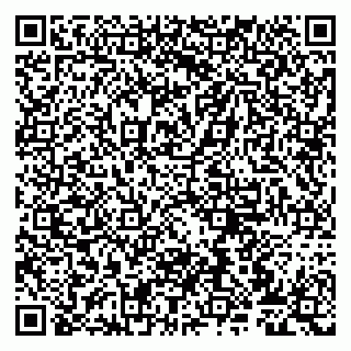 vCard 79807272209
