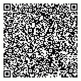 vCard 79807272304