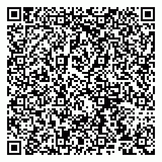 vCard 79807272335