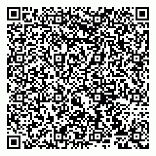 vCard 79807272355
