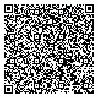 vCard 79807272385