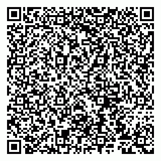 vCard 79807272387