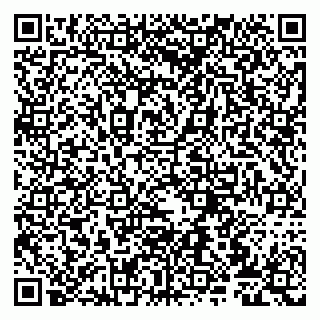 vCard 79807272413
