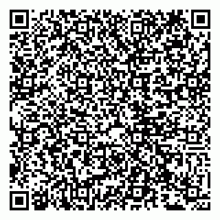 vCard 79807272487