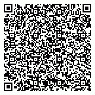 vCard 79807272497